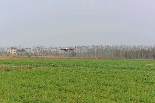 人勤春來早 荊州區(qū)農(nóng)業(yè)科技服務(wù)春耕備耕