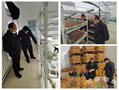 國家馬鈴薯產(chǎn)業(yè)技術(shù)體系天水綜合試驗站開展對接服務(wù)企業(yè)活動(圖)