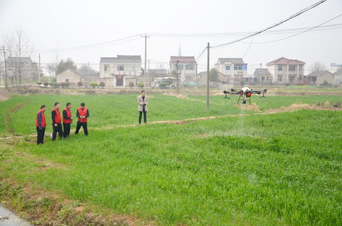 省農機推廣站來我市開展省 市 縣農機科技志愿服務大聯動