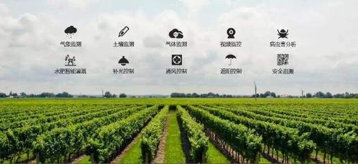 從碼鏈體系看智慧農業的發展