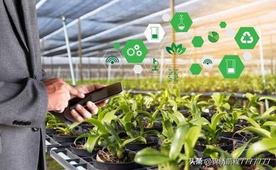 農村致富新途徑,多元化發展與科技創新