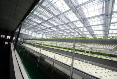 絕了!原來這就是未來顛覆農(nóng)業(yè)的六大高科技