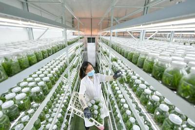 代表委員熱議科技創(chuàng)新:以高水平科技自立自強(qiáng)賦能農(nóng)業(yè)農(nóng)村高質(zhì)量發(fā)展