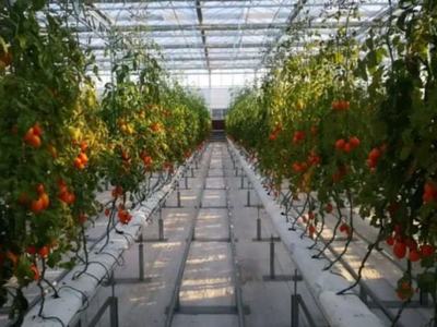 三農(nóng)日報(bào)|政策:新增高效育種重點(diǎn)實(shí)驗(yàn)室;高光譜技術(shù):或?qū)⑵平廪r(nóng)產(chǎn)品采摘保鮮難題;知識!克隆農(nóng)場是個(gè)啥;極飛科技:發(fā)力直營服務(wù)體系