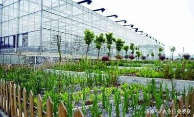 都市農業未來在哪里?科技+商業