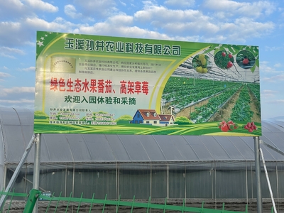 紅塔區(qū)政府信息公開(kāi)