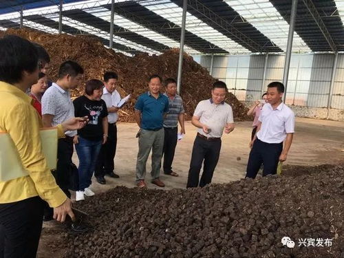 哪個鄉鎮多力 興賓區產業扶貧和村級集體經濟大評比