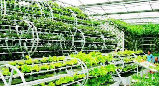 生態農業和旅游有機結合的方式?