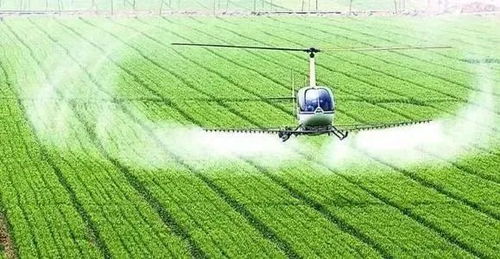 農(nóng)業(yè)農(nóng)村部 國家鄉(xiāng)村振興局 鼓勵社會資本投資的13個重點產(chǎn)業(yè)和領(lǐng)域