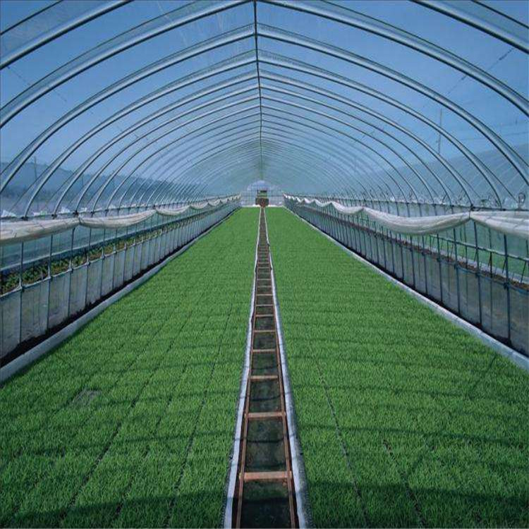 產(chǎn)品報價 連棟薄膜溫室 薄膜溫室大棚 服務(wù)熱線 - 壽光市方立農(nóng)業(yè)科技