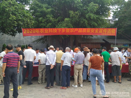 農(nóng)業(yè)科技下鄉(xiāng)暨農(nóng)產(chǎn)品質(zhì)量安全宣傳黨員活動