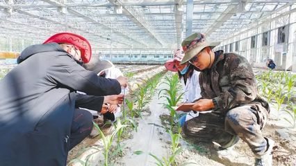 湖北這些示范點(diǎn)和標(biāo)兵入選!