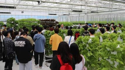 首都高校學(xué)生走進(jìn)智慧農(nóng)業(yè)實(shí)驗(yàn)溫室體驗(yàn)農(nóng)業(yè)黑科技