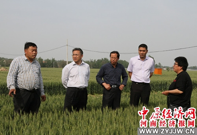 河南農(nóng)業(yè)大學(xué) 科技套餐送達(dá)田間地頭，精準(zhǔn)服務(wù)助推鄉(xiāng)村振興